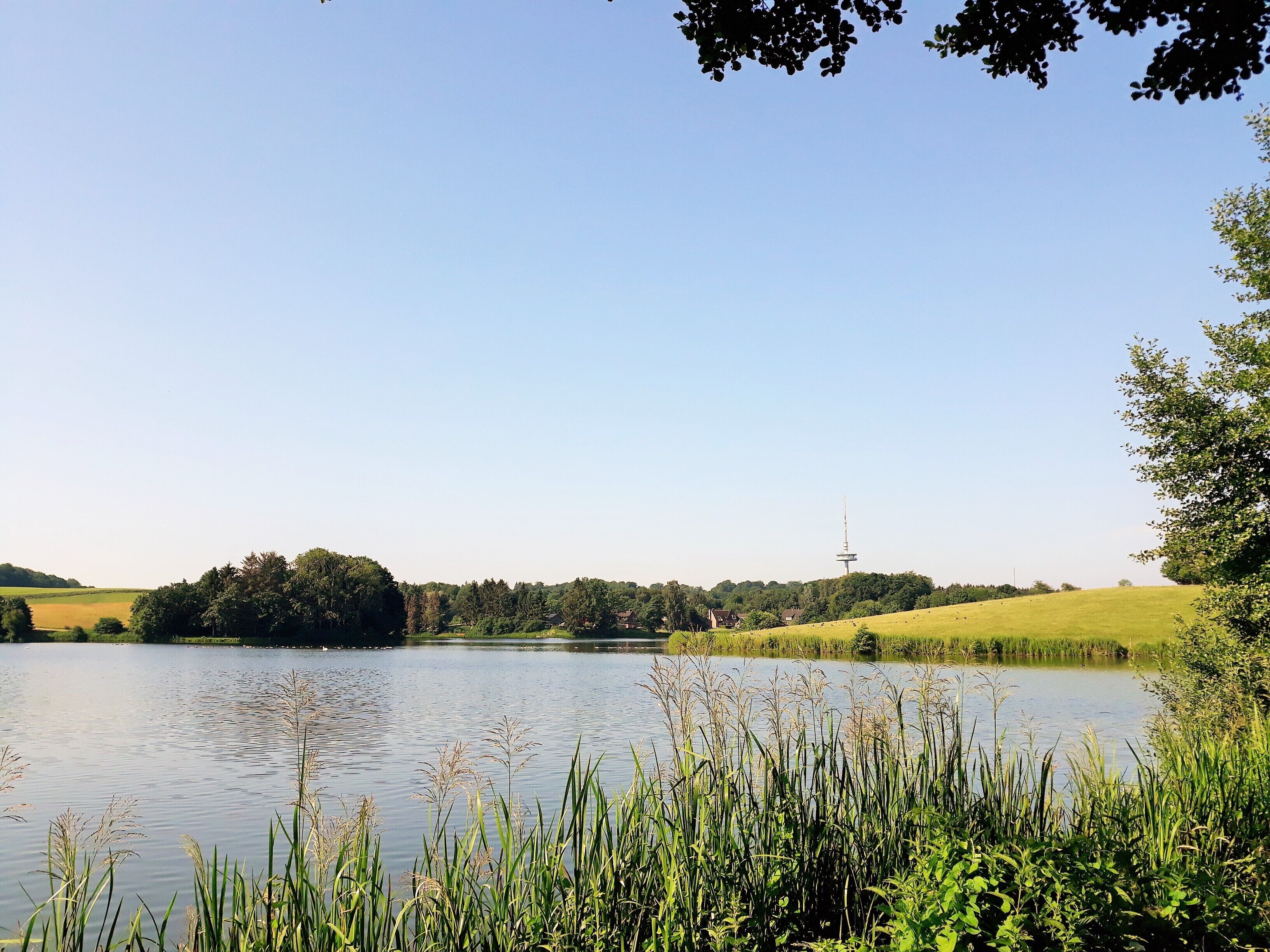 Une vue paisible sur un lac, avec une tour qui se profile à l'horizon.