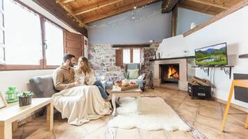 Una televisión, una chimenea, libros