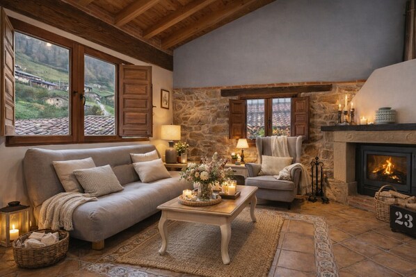 TV, fireplace, books