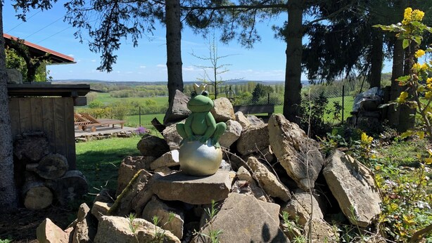 A frog statue on rocks, a wooden structure, and a view of a green landscape.