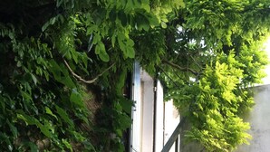 A staircase with metal railings, surrounded by lush green foliage and vibrant pink flowers. - Charming house on the Ile de Ré (Loix)