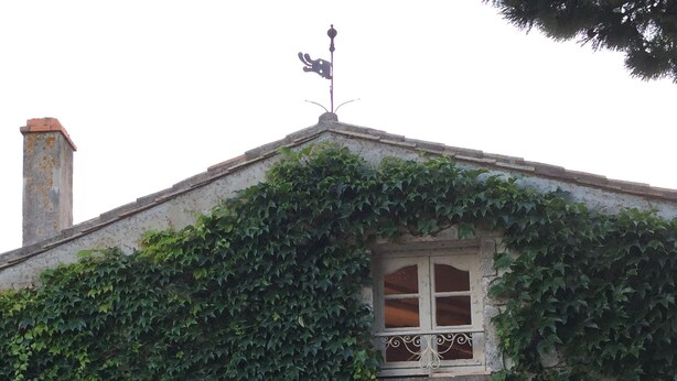 A stone building with ivy-covered walls, a small balcony, and a sign above the door. - Charming house on the Ile de Ré (Loix)