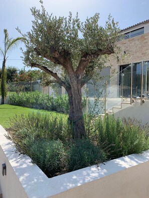 Jardines del alojamiento