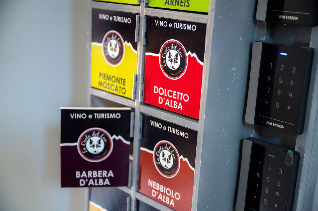 Un muro con diversi cartelli per 'VINO e Turismo' e 'La Grotte del Lupo', e una telecamera di sicurezza HIKVISION.