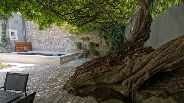 Ein steinerner Innenhof mit einem alten Baum, einer Steinsitzbank und einem kleinen Brunnen.