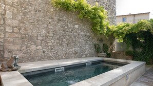 Eine Steinsichtmauer mit rechteckigem Pool, einer Froschstatue und Grünpflanzen.