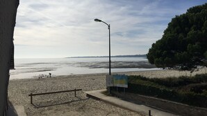 A beach view with a street lamp, a sign, and a tree.