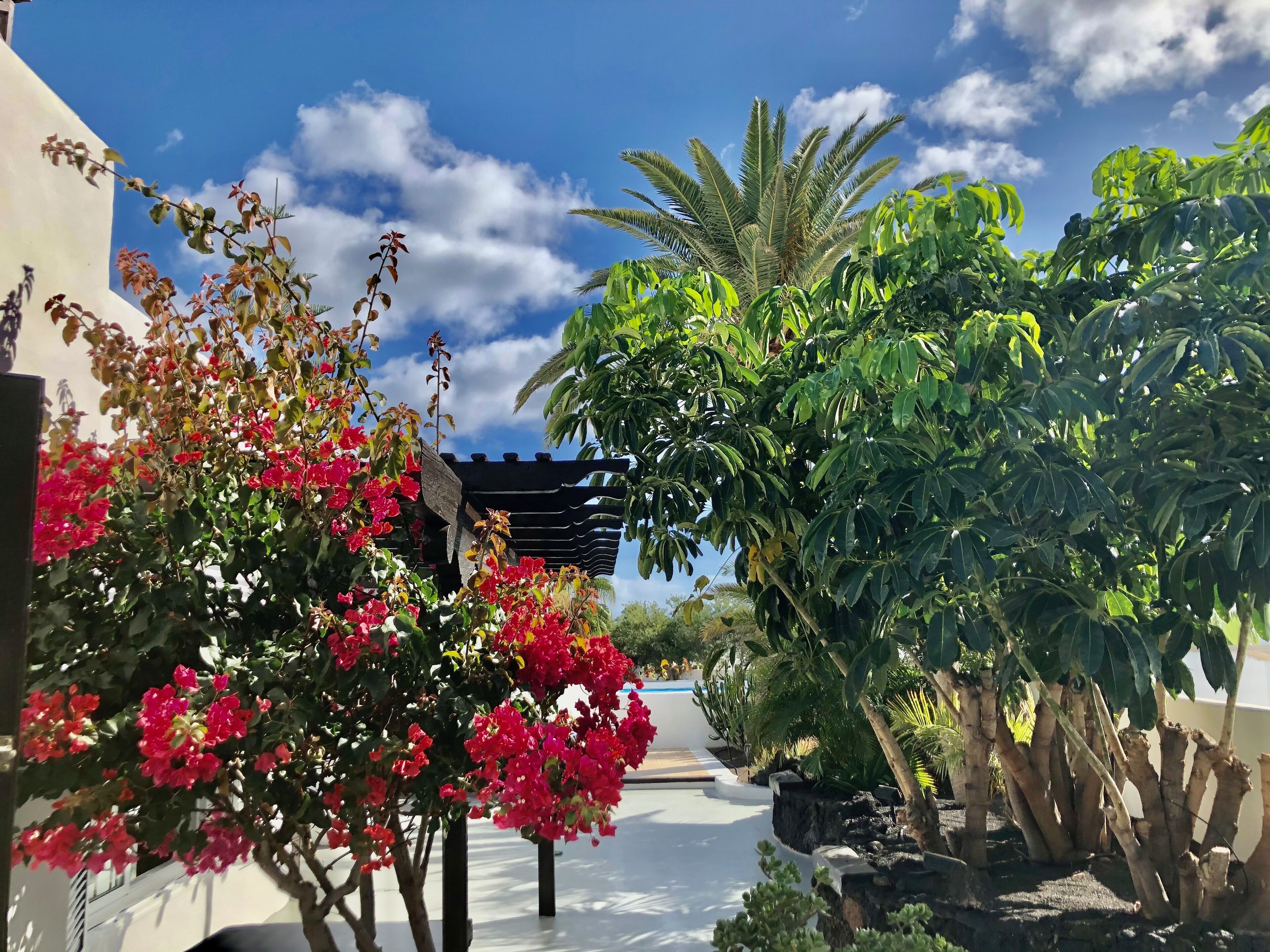 Parco della struttura