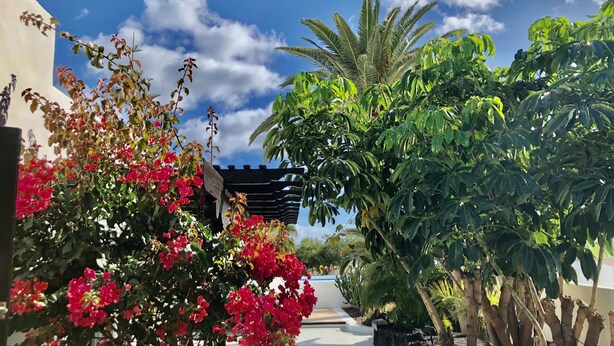 A courtyard with a pergola, lush greenery, and flowering plants. - Villa Mare Bella Ciao Sea view private pool A / C 500m from the beach (Puerto del Carmen)