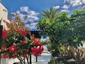 Property grounds - Villa Mare Bella Ciao Sea view private pool A / C 500m from the beach (Puerto del Carmen)