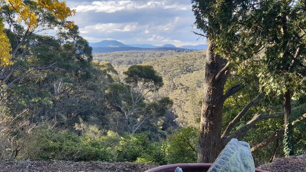 A potted plant with a textured surface, set against a backdrop of a mountainous landscape with trees and a clear sky. - Winston Cottage Leura - BEST Location & Views (Leura)