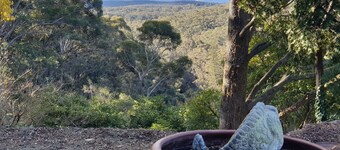 Winston Cottage Leura - BEST Location & Views