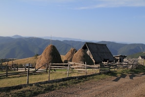 Tours ecológicos