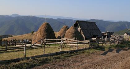 Hotel garni President