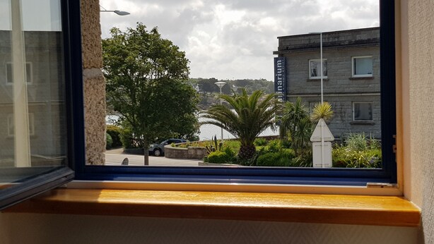 Una ventana con vista a un edificio que dice "Aquarium" y una palmera.