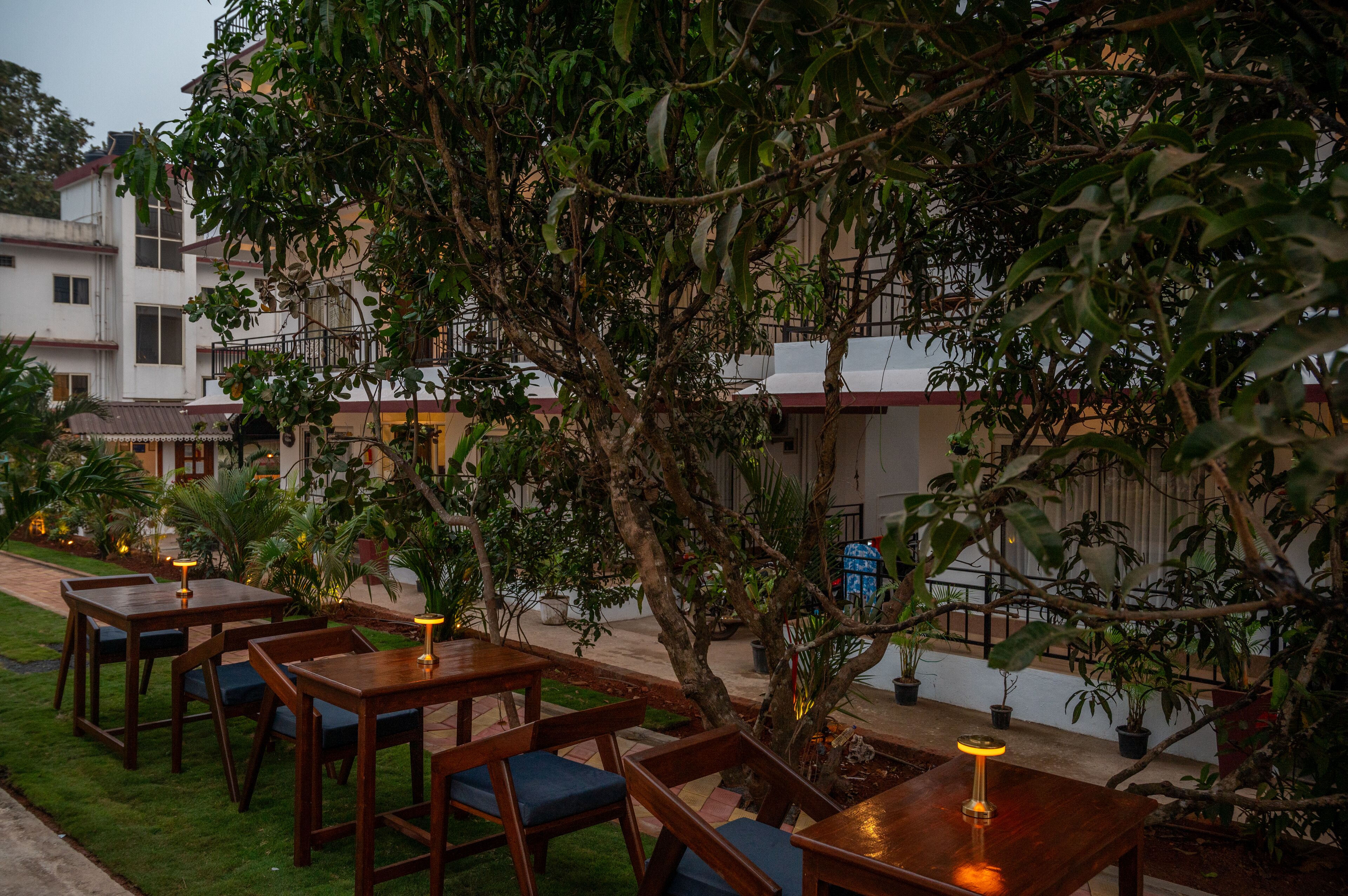 An outdoor seating area with wooden tables and chairs, surrounded by potted plants and trees.