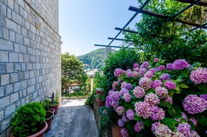 하우스 (Holiday Home) | 정원