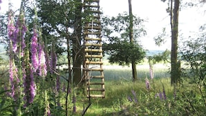 Una escalera de madera en un entorno natural con flores moradas y árboles.
