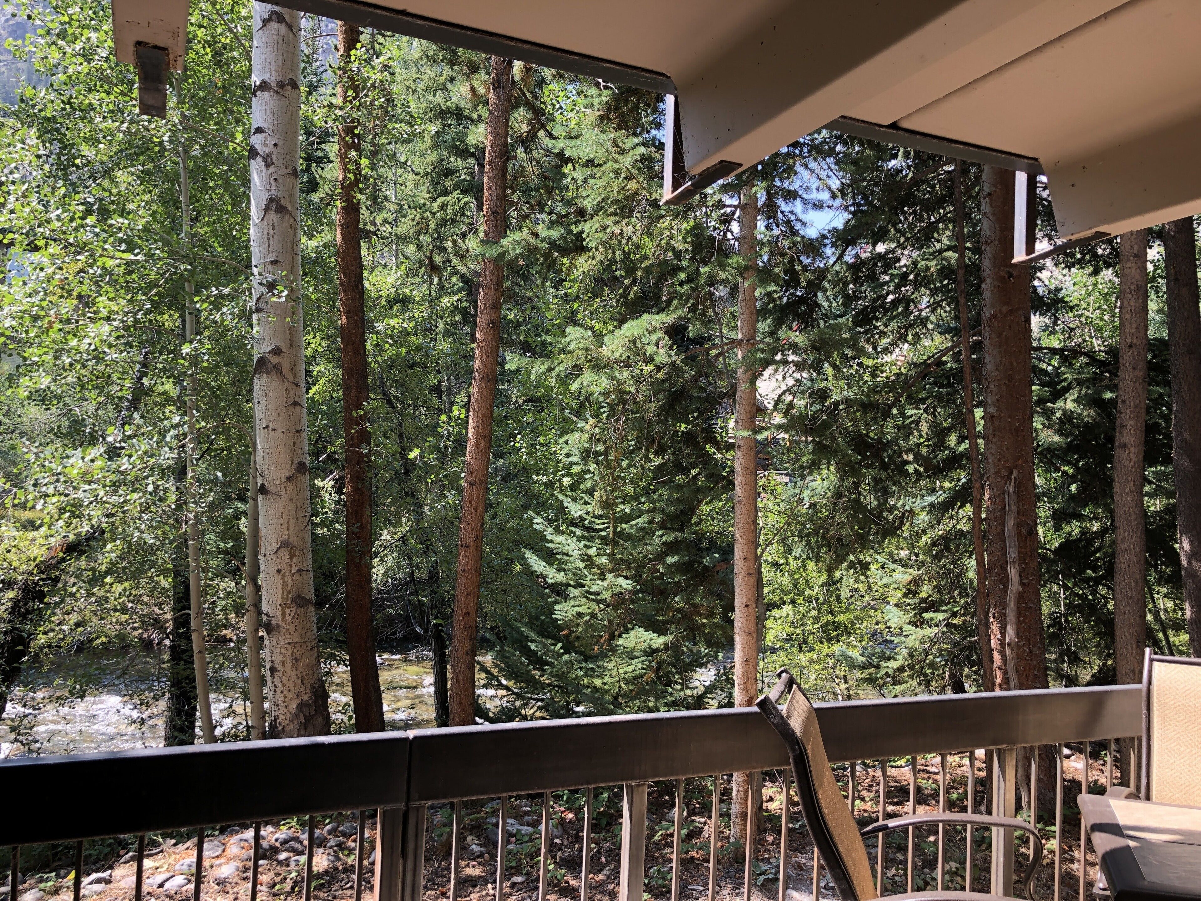 A wooden deck with a metal railing overlooking a forested area with tall trees and a stream.