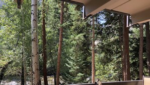 Um deck de madeira com guarda-corpo de metal, com vista para uma área arborizada com árvores altas e um riacho.