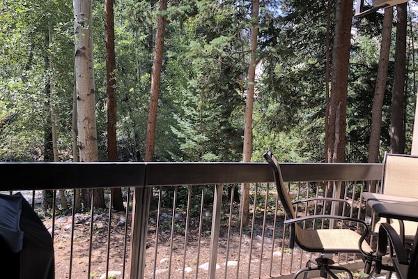 Àrea exterior de l'allotjament