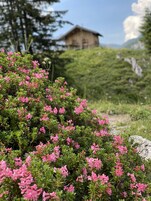 Land view from property