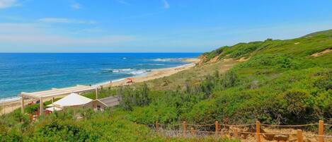 靠近海滩、钓鱼