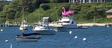 Marina/club náutico