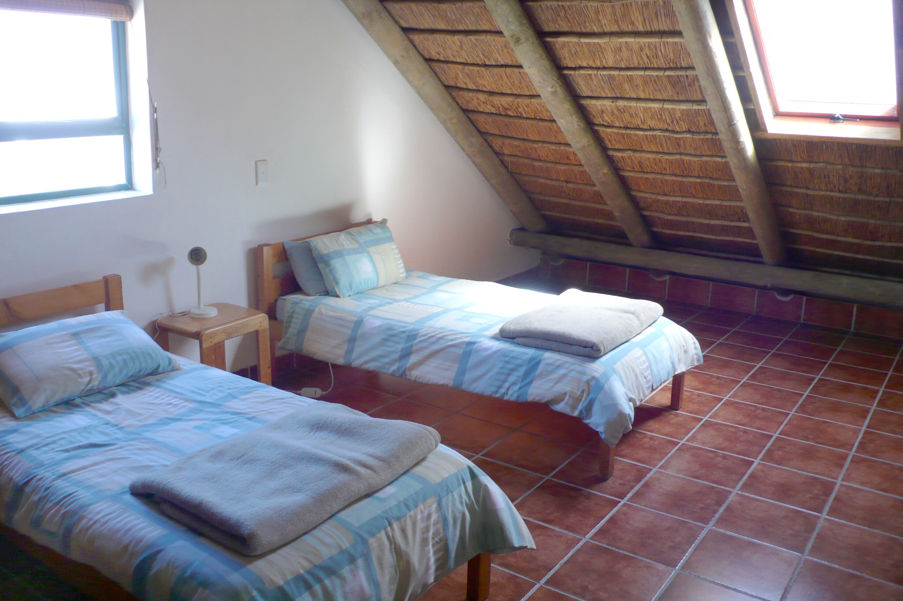 Une chambre avec deux lits, une tête de lit en bois, une table de chevet et une fenêtre.