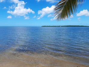 Ein Strand mit klarem Wasser, einer Palme und einer entfernten Insel.