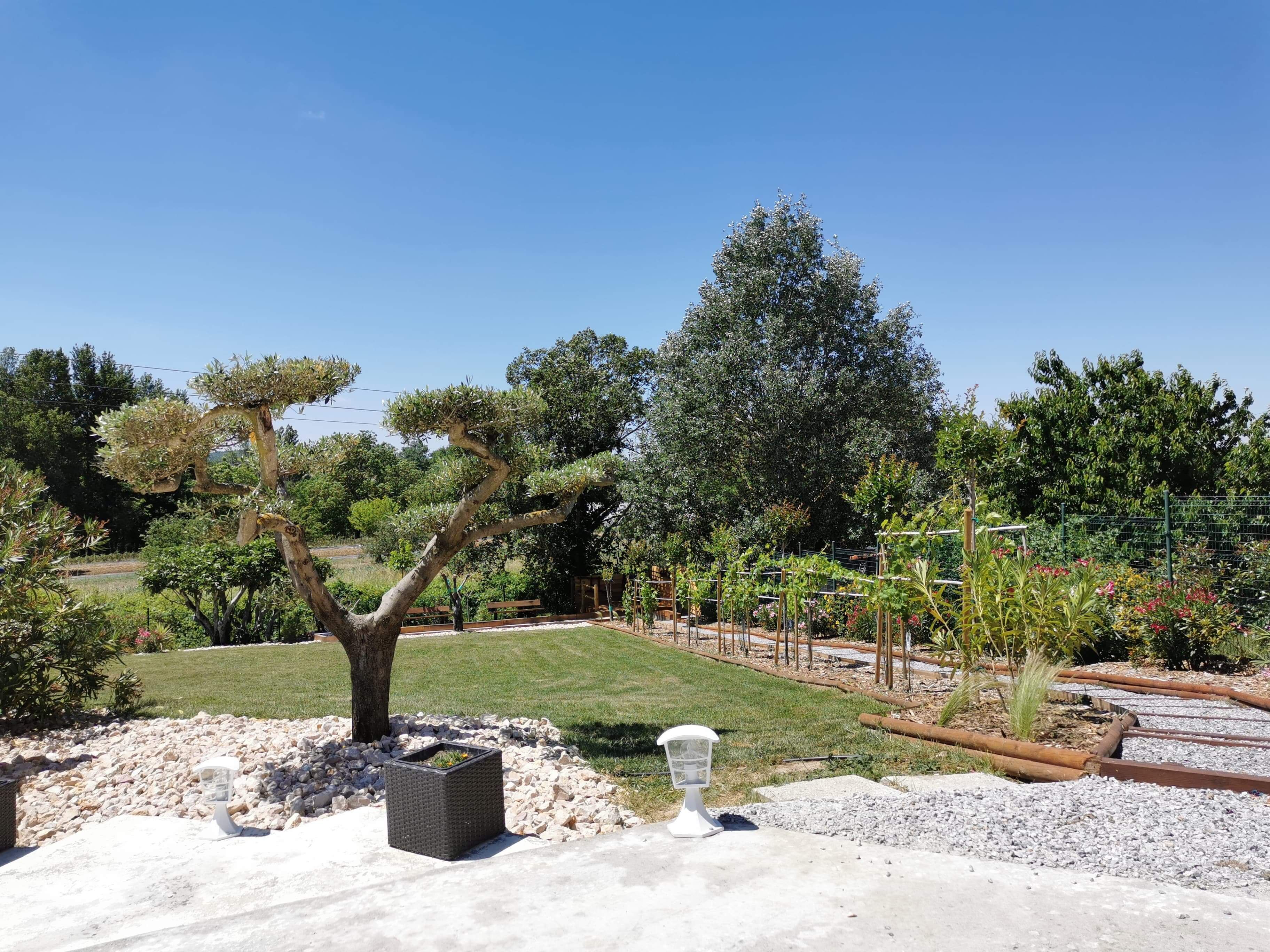 Een aangelegde tuin met verschillende bomen en struiken, een verhard gebied met plantenbakken, en een helderblauwe lucht.
