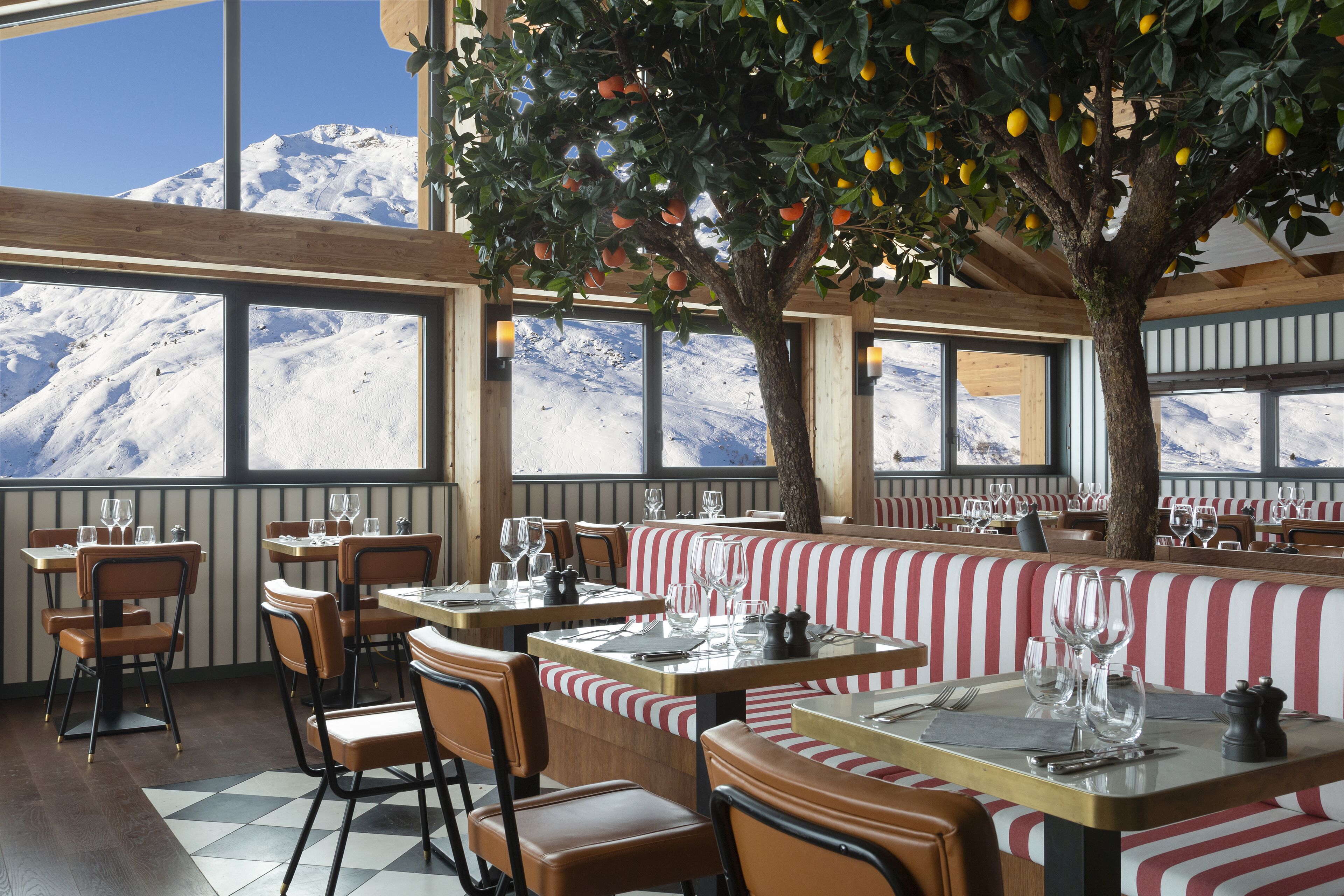 A restaurant with tables and benches, large windows, and a tree with fruit.