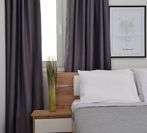 Luxury Apartment