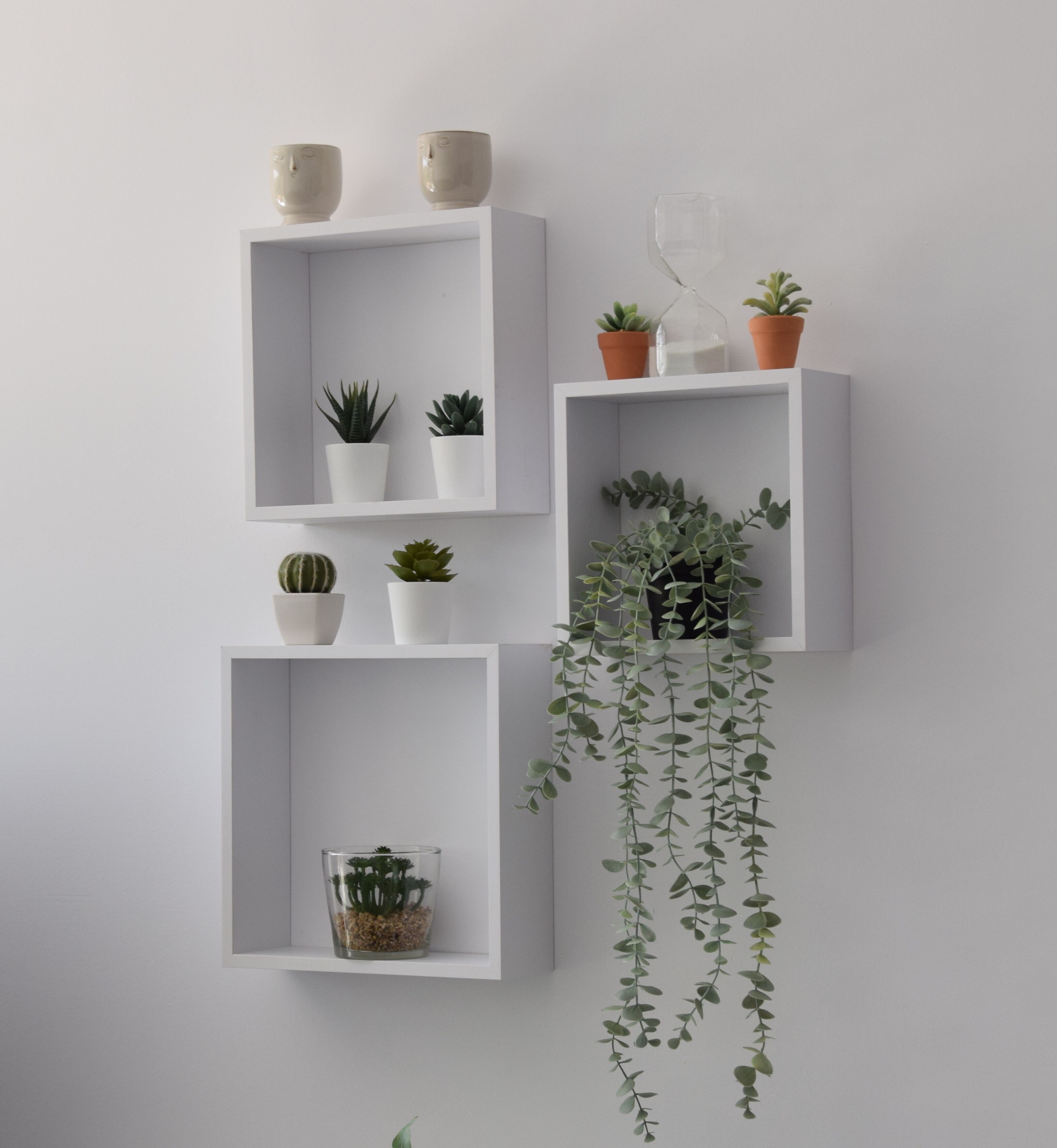 Un mur avec trois étagères blanches, chacune contenant différentes plantes en pot et un récipient en verre.