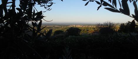 المنطقة المحيطة بالمنشأة