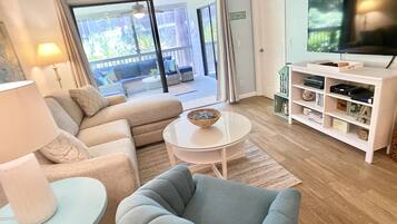 Smart TV, DVD player, books, video library