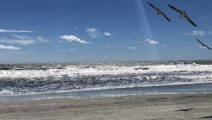 Uma praia com ondas e gaivotas voando.