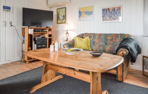 TV, DVD player - 4 bedroom cozy home in Bogense (Bogense)