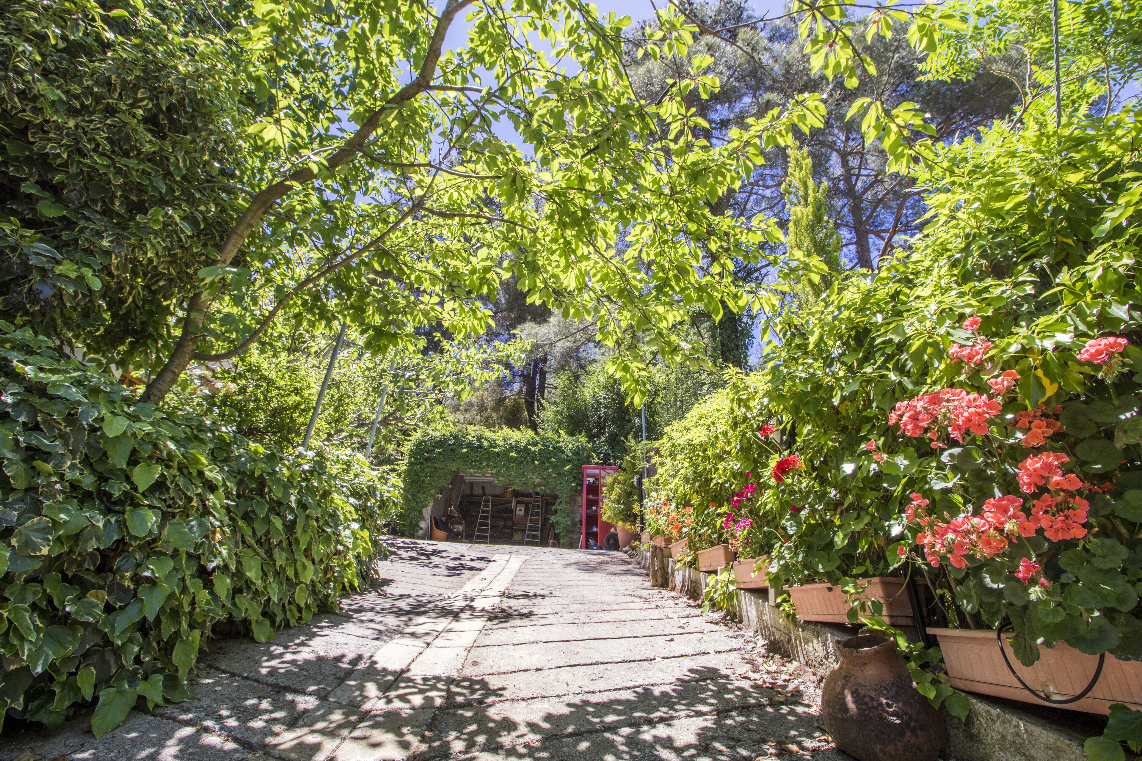 Parco della struttura