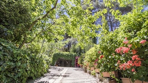 A stone pathway leading through a lush garden with green foliage and red flowers.