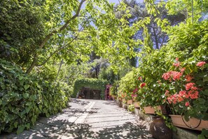 Property grounds - KYVELI COTTAGE - ENHANCE YOUR SENSEs (Foini)