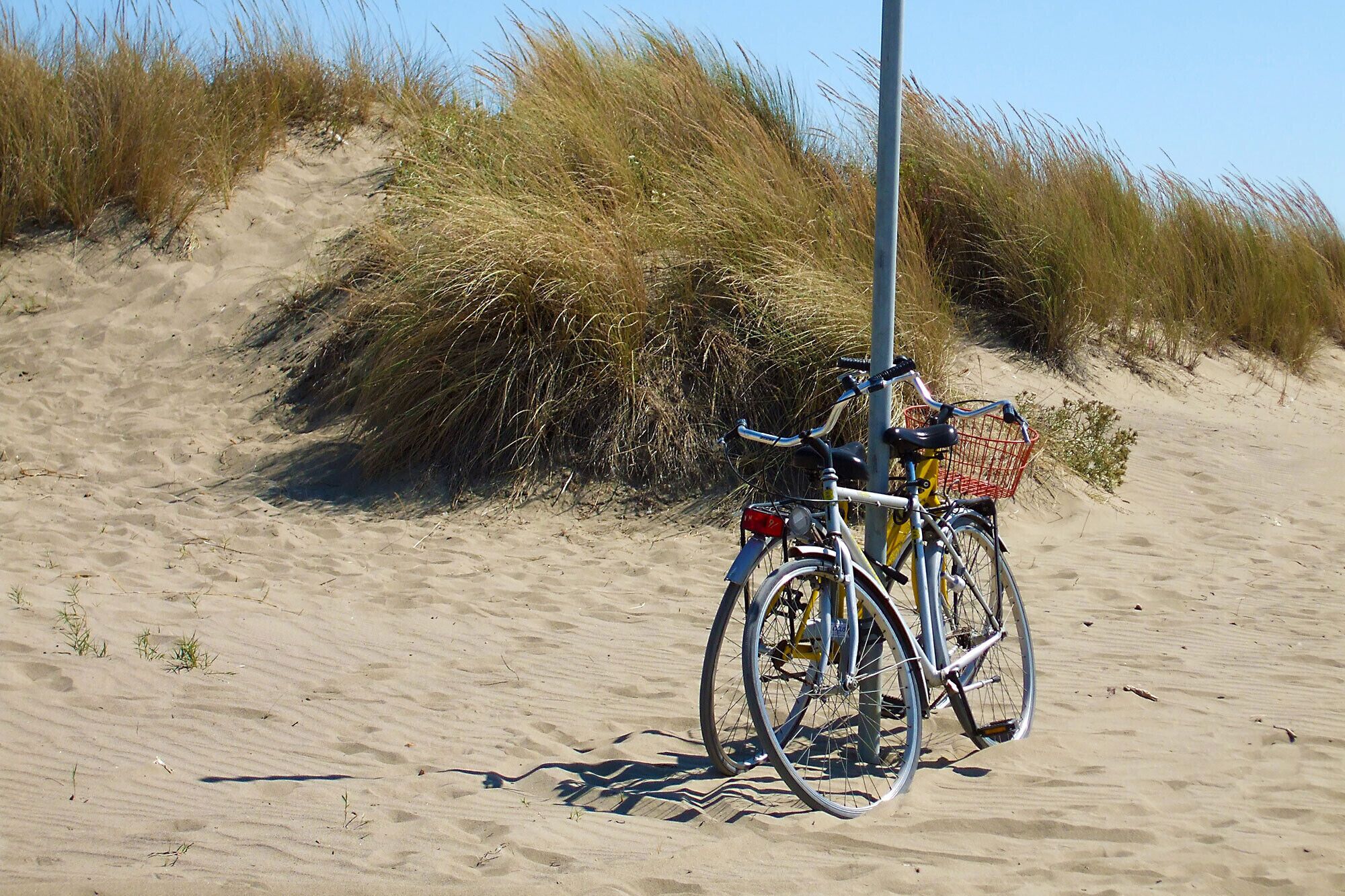 A bicycle parked on a sandy beach with dunes in the background.