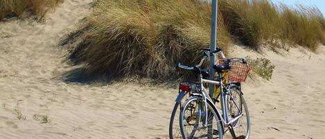 A bicycle parked on a sandy beach with dunes in the background.