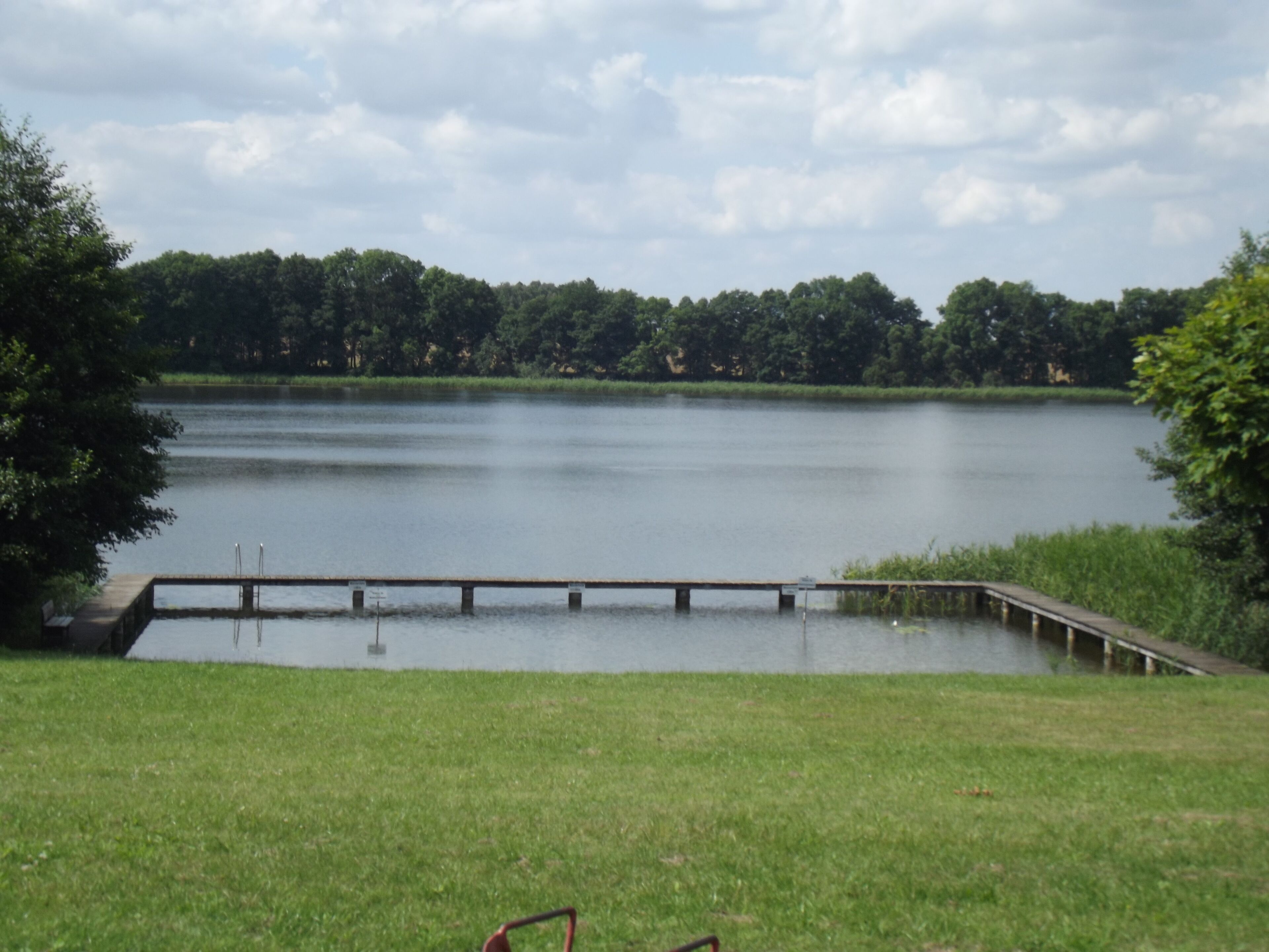 Een kalm meer met een houten steiger die het water in reikt, omringd door weelderige begroeiing en bomen.