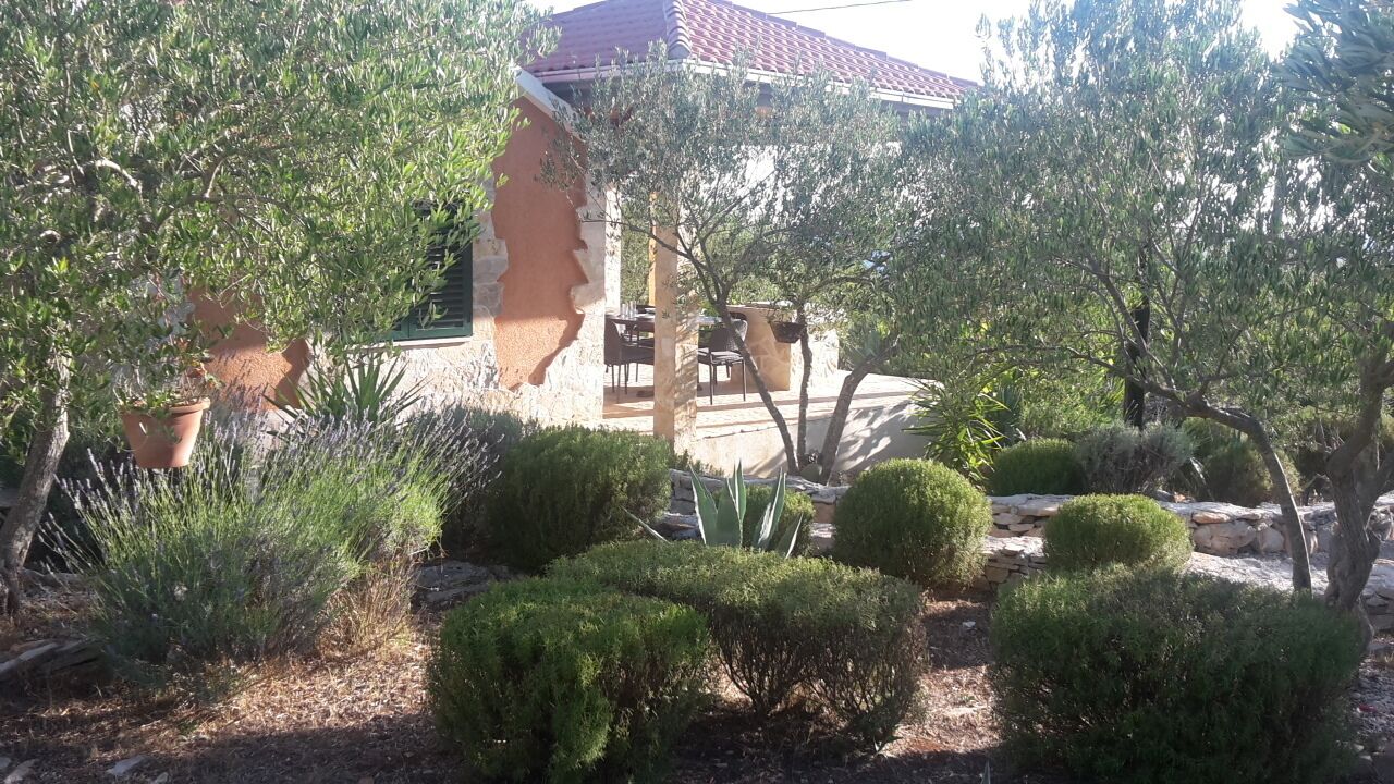 A garden with various plants and a building with a red-tiled roof.