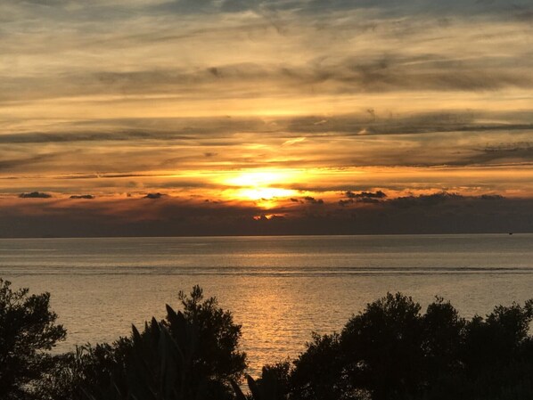 Un coucher de soleil sur une mer calme, avec la silhouette d’arbres au premier plan.
