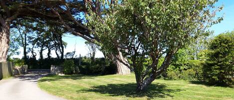 Superior Apartment, Accessible, Private Bathroom | Garden