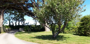Superior Apartment, Accessible, Private Bathroom | Garden