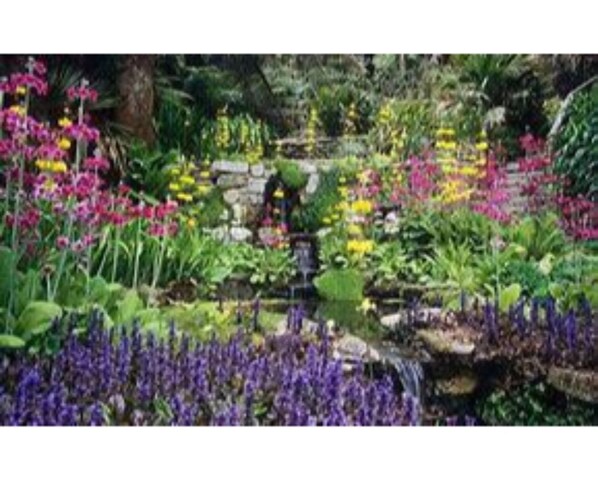 A garden with a pond, various flowers, and a stone pathway.