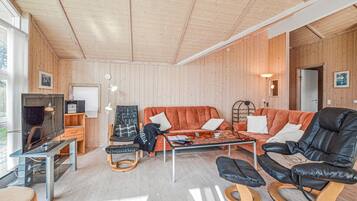 Télévision, cheminée